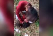 Duel Siswi SMP Kampar: Polisi Intervensi, Fakta Mengejutkan!