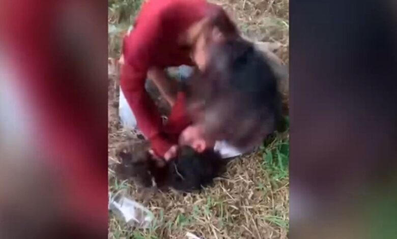 Duel Siswi SMP Kampar: Polisi Intervensi, Fakta Mengejutkan!
