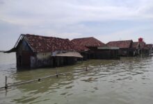 Sayang Terabaikan, Banjir Rob Pantai Sayung Kian Mengancam