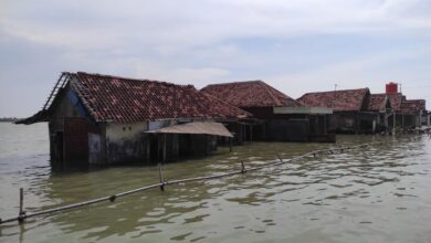 Sayang Terabaikan, Banjir Rob Pantai Sayung Kian Mengancam