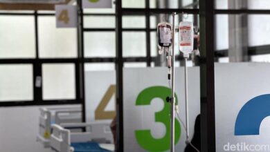 Waspada! Kasus Talasemia di Indonesia Meningkat Drastis, Cek Wilayahmu