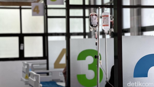 Waspada! Kasus Talasemia di Indonesia Meningkat Drastis, Cek Wilayahmu
