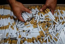 Bongkar Praktik Ilegal! 384 Ribu Batang Rokok Disita Tol Ngawi-Kertosono