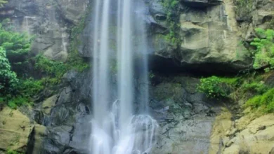 Curug Gede Purwokerto: Pesona Alam Menakjubkan, Wajib Dikunjungi!