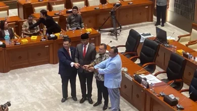 Dasco Ganti Aher, Sukamta Wakil Ketua DPR Baru