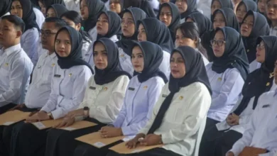 Gagal PPPK Tahap 2? Jalur Alternatif Honorer Paruh Waktu!