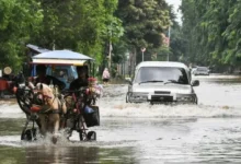 Hindari Jebakan! 5 Tips Cermat Beli Mobil Bekas Anti Banjir