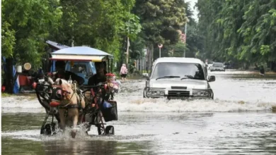 Hindari Jebakan! 5 Tips Cermat Beli Mobil Bekas Anti Banjir