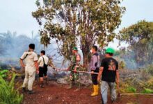Kebakaran Hebat Landa Lahan Gambut Rokan Hulu Riau