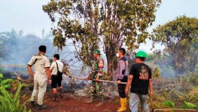 Kebakaran Hebat Landa Lahan Gambut Rokan Hulu Riau