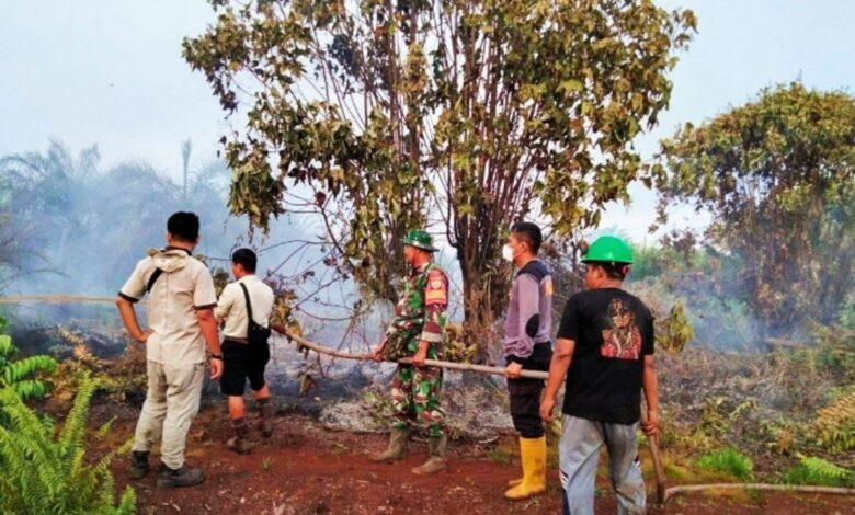 Kebakaran Hebat Landa Lahan Gambut Rokan Hulu Riau