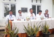 Nasib Harimau Sumatera: Luka Jerat, Perjuangan Hidup Mati