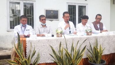 Nasib Harimau Sumatera: Luka Jerat, Perjuangan Hidup Mati