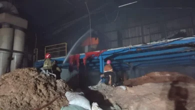Pabrik Serut Kayu Bekasi Ludes Terbakar, Kerugian Fantastis Rp5 Miliar!