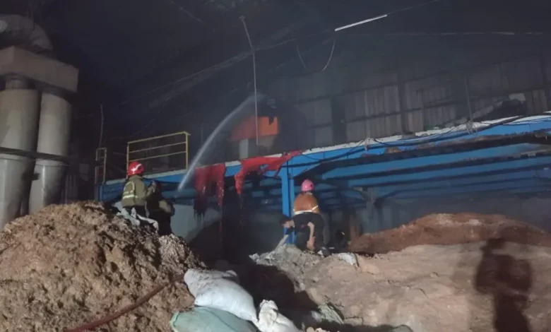 Pabrik Serut Kayu Bekasi Ludes Terbakar, Kerugian Fantastis Rp5 Miliar!