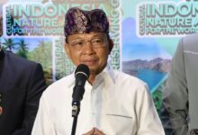 Pariwisata Bali: Kontribusi Setengah Devisa Nasional, Luar Biasa!