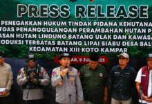 Pengungkapan Kasus Perambahan Hutan Riau: 4 Tersangka Dibekuk
