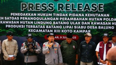 Pengungkapan Kasus Perambahan Hutan Riau: 4 Tersangka Dibekuk
