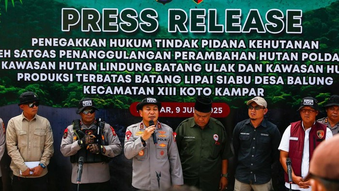 Pengungkapan Kasus Perambahan Hutan Riau: 4 Tersangka Dibekuk