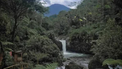 Pesona Curug Bayan Baturaden: Petualangan Wisata Terbaru Purwokerto