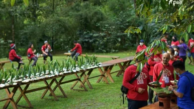 Petualangan Menantang di Baturaden Adventure Forest Purwokerto