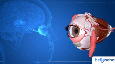 Rahasia Mata Sehat: 10 Tips Mudah Jaga Kesehatan Penglihatan