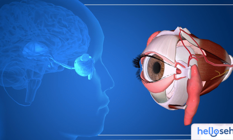 Rahasia Mata Sehat: 10 Tips Mudah Jaga Kesehatan Penglihatan