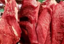Rahasia Turunkan Kolesterol Secara Alami: Bahan Pangan Ajaib