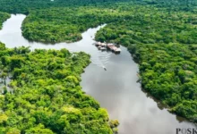 Rinjani, Amazon: Warganet Indonesia Ramai Kritik Selebgram