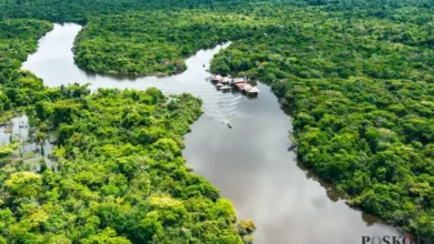 Rinjani, Amazon: Warganet Indonesia Ramai Kritik Selebgram