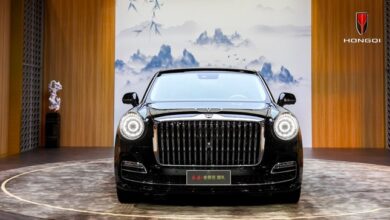 Sultan Dubai Tebus Mobil Bekas China Seharga Fantastis Rp25 Miliar