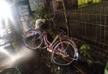 Tragedi Kulon Progo: Motor Tabrak Pesepeda Lansia, Tewas