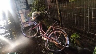 Tragedi Kulon Progo: Motor Tabrak Pesepeda Lansia, Tewas