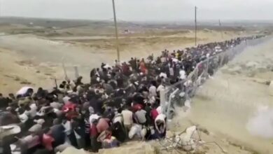 Kisah Pilu Pekerja Bantuan Gaza: Tembak, Lalu Tanya?